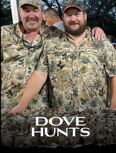 DOVE HUNTS
